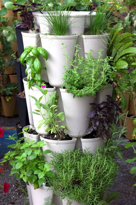 What Plants Grow Best In A Vertical Garden