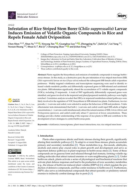 (PDF) Infestation of Rice Striped Stem Borer (Chilo suppressalis) Larvae Induces Emission of ...