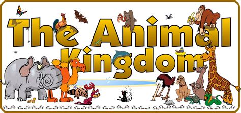 Animal kingdom clipart - Clipground