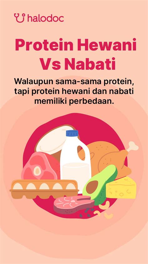 Pengertian Tabel Beserta Jenis Fungsi Dan Contoh Protein Hewani Image ...