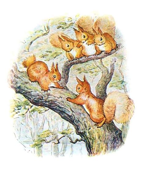 Nutkin up a Tree – Old Book Illustrations in 2020 | Squirrel illustration, Beatrix potter ...