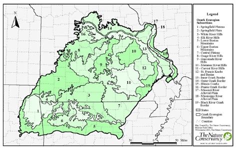 About – Ozarklichens