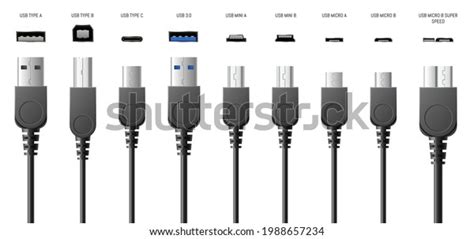 Standard Usb B Type C Plugs Stock Vector (Royalty Free) 1988657234 | Shutterstock