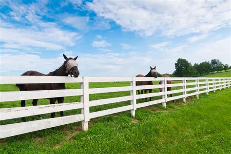 101 Fence Designs, Styles and Ideas (Backyard Fencing)