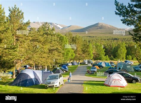 Glenmore Forest Campsite Aviemore Badenoch and Strathspey Highland Region. SCO 2482 Stock Photo ...