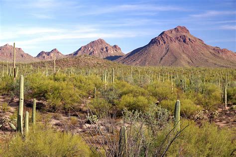 Tucson Mountain Park Photograph by Douglas Taylor - Pixels