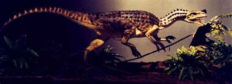 Ornitholestes | Prehistoric, Nature, Fossils