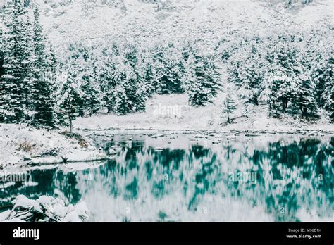 Turquoise surface of the mountain lake. Winter fabulous forest lake ...