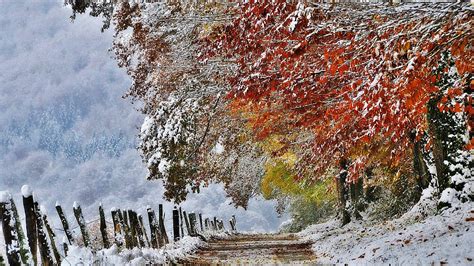 November Snow Wallpapers - Top Free November Snow Backgrounds ...