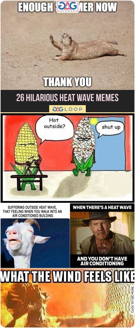 Funny Heat Memes