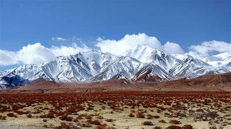 Qilian Mountain Grassland in Qinghai: Features, Best Time to Visit ...