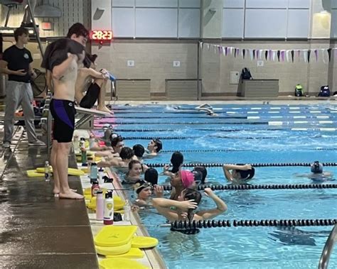 New swimmers make a splash on girls team – The Purple Tide