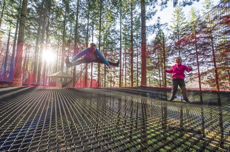 Treetop Nets opens at Zip World Fforest | Zip World