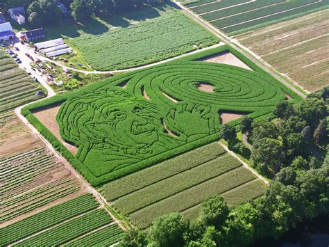 America’s Most Elaborate Corn Maze Is Made of GPS and Math | WIRED