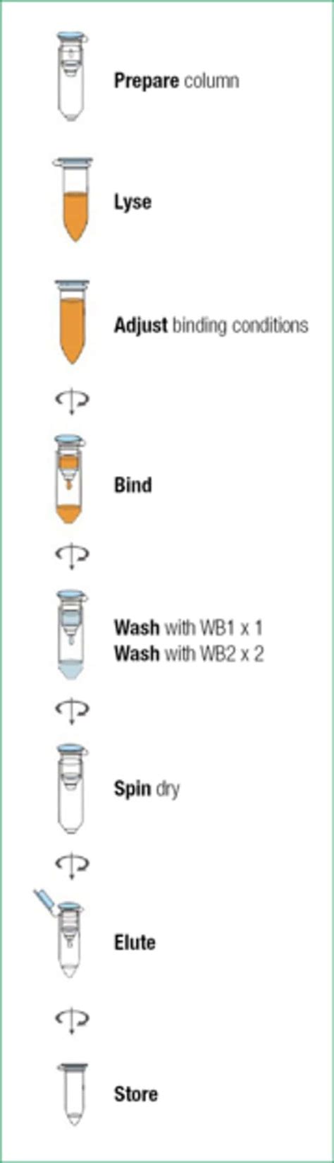 GeneJET Viral DNA/RNA Purification Kit