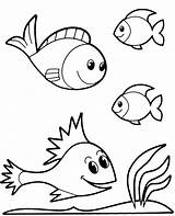 Coloring Pages Printable Fish sketch template