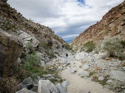 Hiking the Wilderness Loop in Palm Desert - Family Can Travel