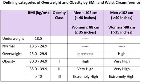 Body Mass Index (BMI) and Obesity - Health Impact and Risks