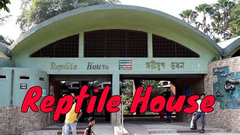 Reptile House | Alipore Zoological Gardens | Kolkata | Reptiles | আলিপুর চিড়িয়াখানা | - YouTube