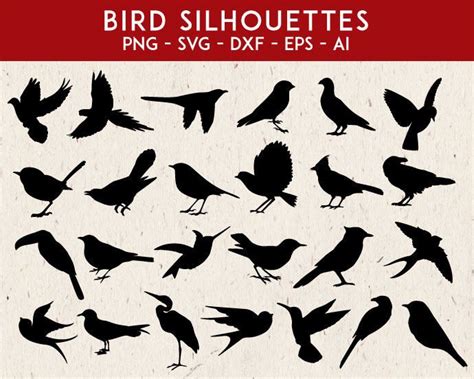 Birds SVG, Bird SVG, Birds Silhouette SVG, Bird Silhouette, Birds Cut ...