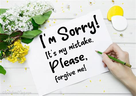 100+ Sorry Messages and Apology Quotes | WishesMsg