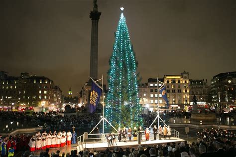 Trafalgar Square Christmas tree sparkles following light switch on ...