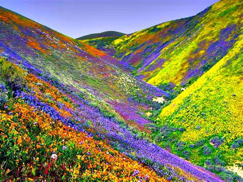 Valley of Flowers National Park - West Himalaya This looks like heaven! | Desierto de atacama ...