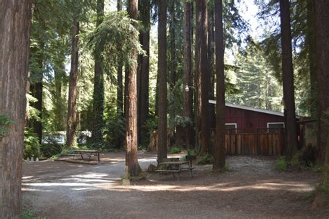 Photo Gallery of Santa Cruz Redwoods RV Resort & RV Park Felton