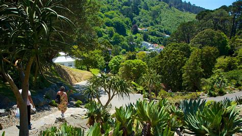 Botanic Gardens in Wellington, | Expedia