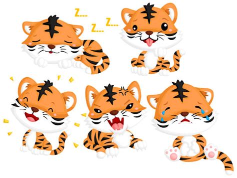 Sad Tiger Stock Photos, Pictures & Royalty-Free Images - iStock