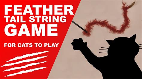 😻Cat Games - Feather Tail String (addictive) - YouTube