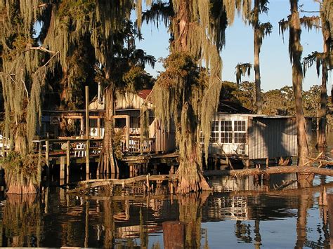 Louisiana bayou.. 2013 stevenwaynesmith a shack in the middle of the ...