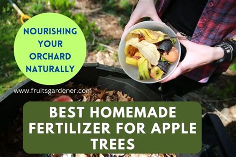 6 Best Homemade Fertilizer for Apple Trees Recipes