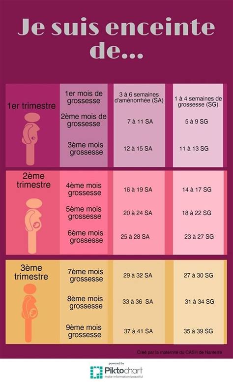 semaine de grossesse | Grossesse semaine, Evolution grossesse, Grossesse