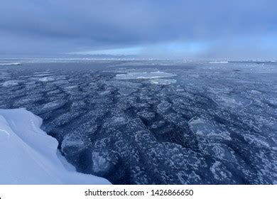 606 East siberian sea Images, Stock Photos & Vectors | Shutterstock