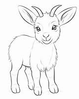 Goat Coloring Pages sketch template