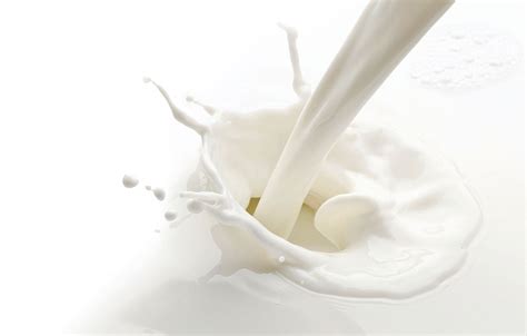 Everything you need to know about Milk Proteins – Milkshake USA