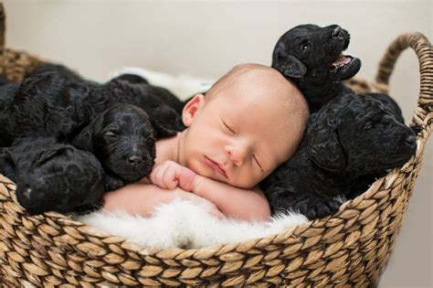 Cutest Newborn Puppies - Anna Blog