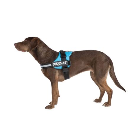 Julius K9 Harness - Secure & Stylish My Dog Nutrition