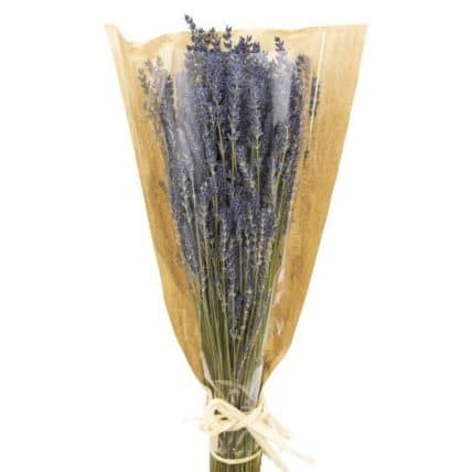 Dried Lavender Flowers 24 Bunch | JR Roses Wholesale Flowers