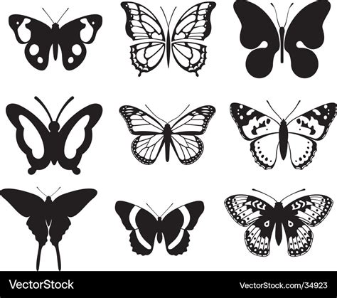 Butterfly Vector Graphics