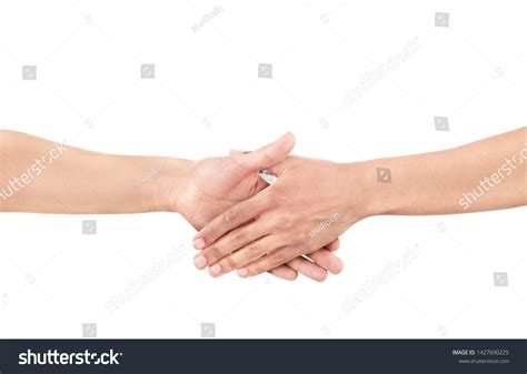 Interracial Handshake Symbol Friendship Partnership Unity Stock Photo 1427690225 | Shutterstock