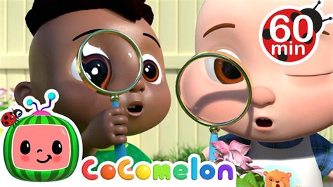 I Spy Song + More! | CoComelon - It's Cody Time | CoComelon Songs for Kids & Nursery Rhymes ...