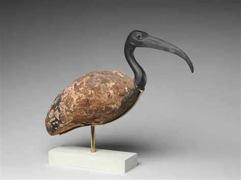 Ibis, Egypt 600–30 B.C.[4000x3000] : r/ArtefactPorn