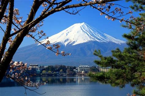 Tokyo to Mt Fuji Private Day Tour with Sengen Shrine Visit 2021