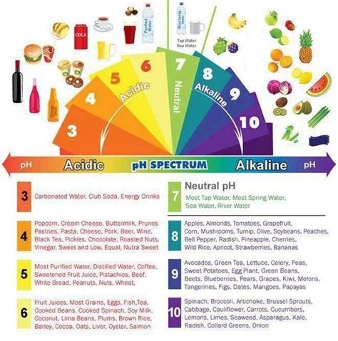 13 best images about Ph level on Pinterest | Alkaline foods, Vegetables and Acid base balance