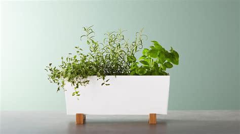 Indoor Plant Pots & Hanging Planters - IKEA