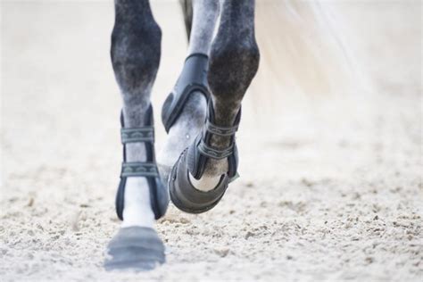 A Deep-Dive Into The 14 Best Ice Boots For Horses - The Horses Guide