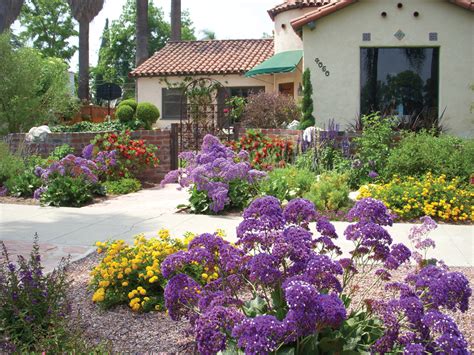 Drought Tolerant Flowers California / Drought Tolerant Plants List California Gardens / Look no ...