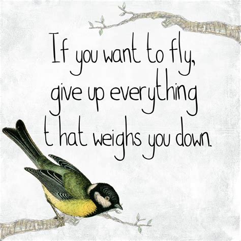 Inspirational Bird Quote Freedom Free Stock Photo - Public Domain Pictures